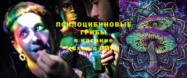 стаф Валдай
