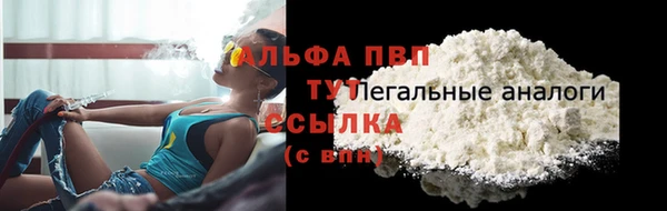 дживик Новодвинск