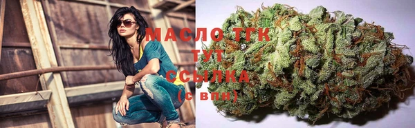 2c-b Новозыбков