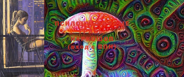 дживик Новодвинск