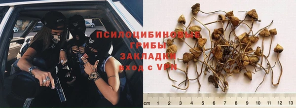 гидропоника Нягань