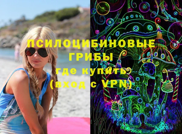 дживик Новодвинск