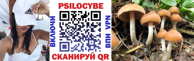 Псилоцибиновые грибы мицелий  Балтийск 