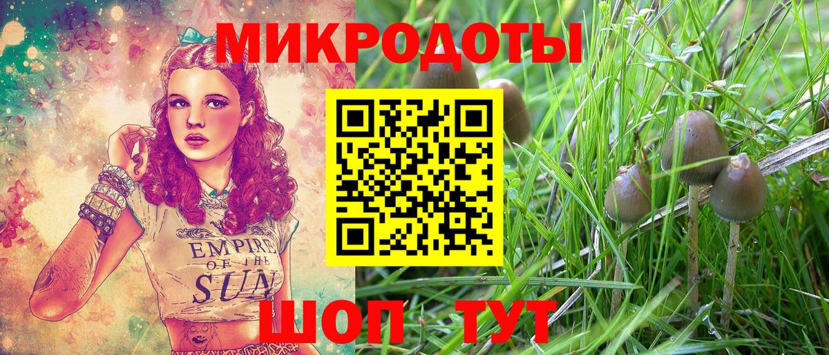 Псилоцибиновые грибы Psilocybine cubensis  Вход с VPN  Балтийск 