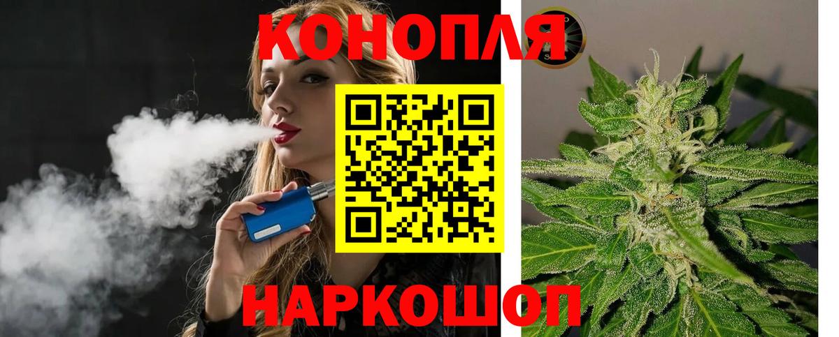 Конопля конопля Балтийск